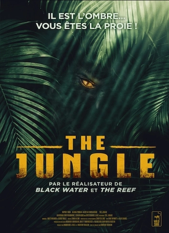 The Jungle