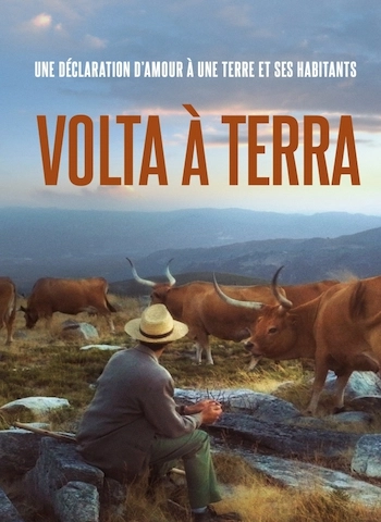 Volta à terra