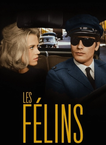 Les félins