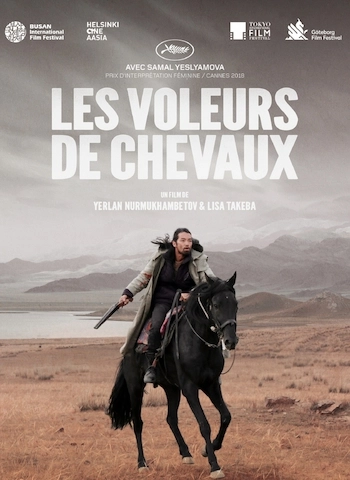 Les voleurs de chevaux