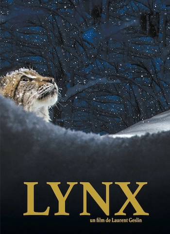 Lynx