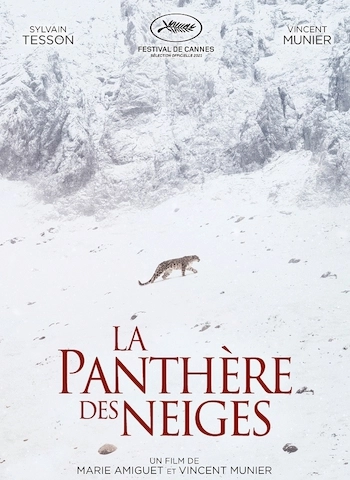 La Panthère des neiges